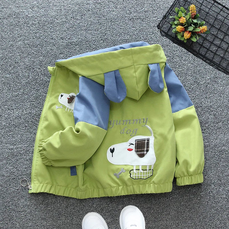 Bear Jacket Casual